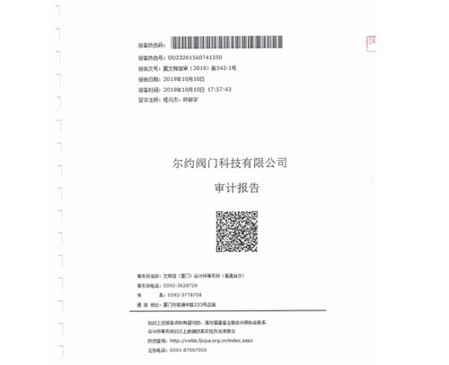 近三年審計報告